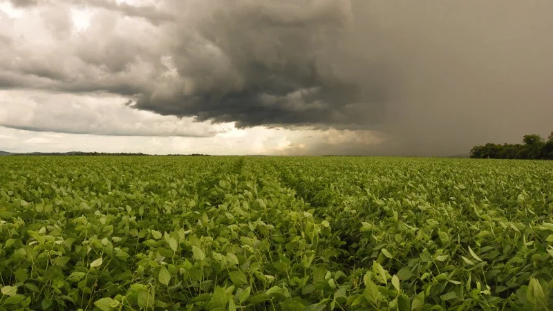 Produtores do Norte e Nordeste devem ficar atentos ao excesso de chuvas para reduzir chances de perdas durante a La Niña