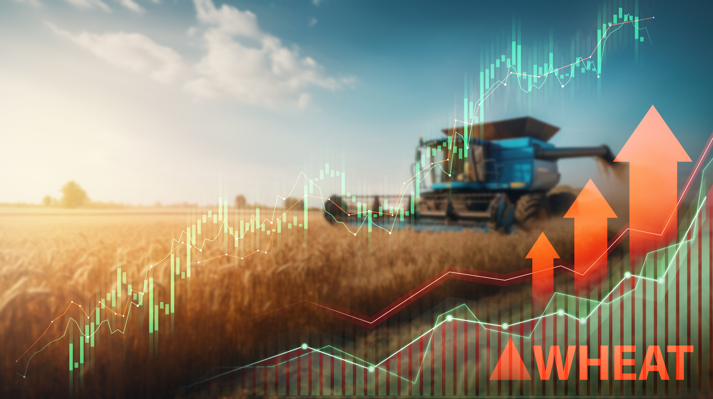 Mercado internacional agrícola: tendências e o papel do Brasil